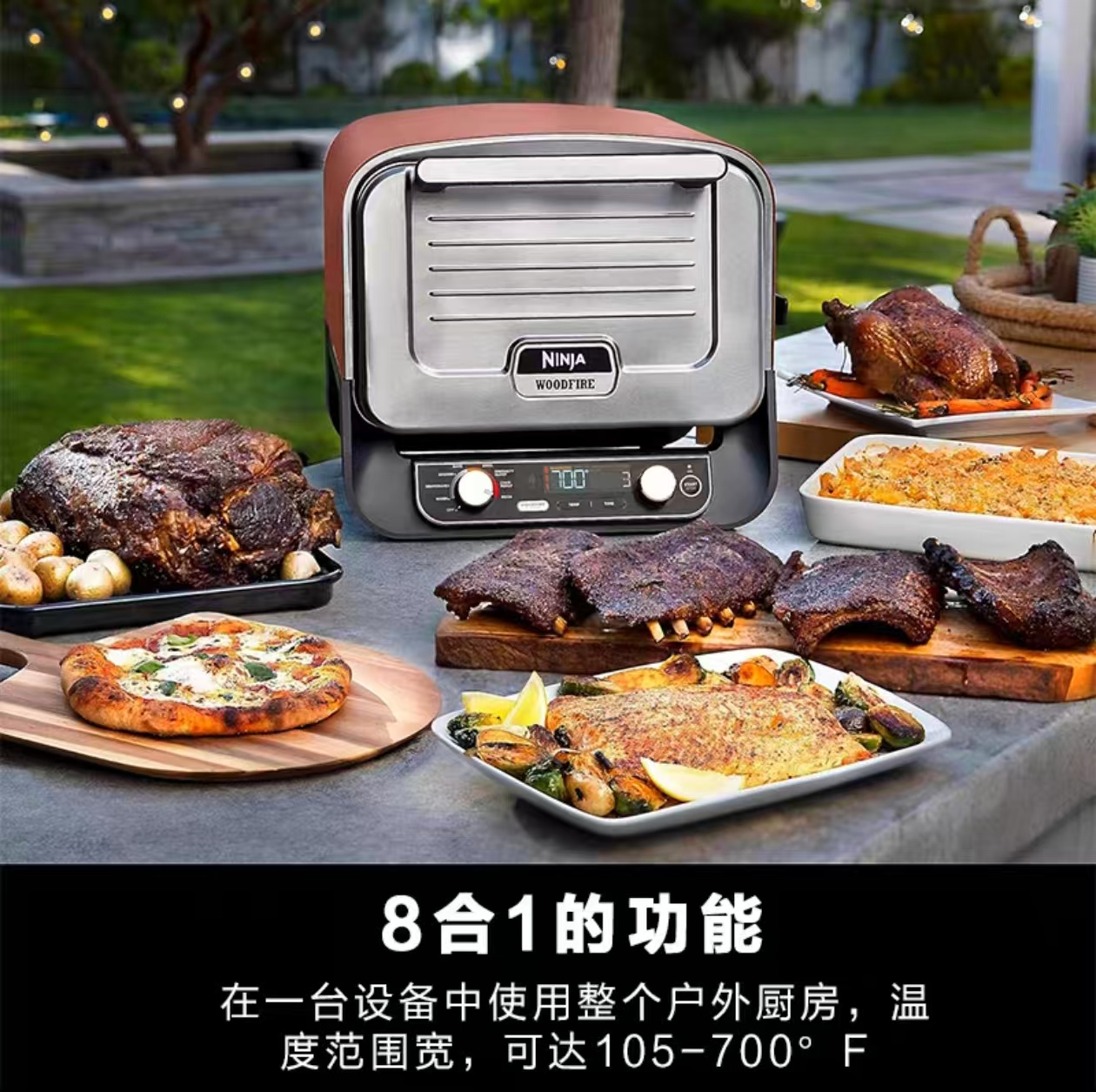 2026 Outdoor Pizza Oven for El - Camping Cooking Ovens ulasan dan harga