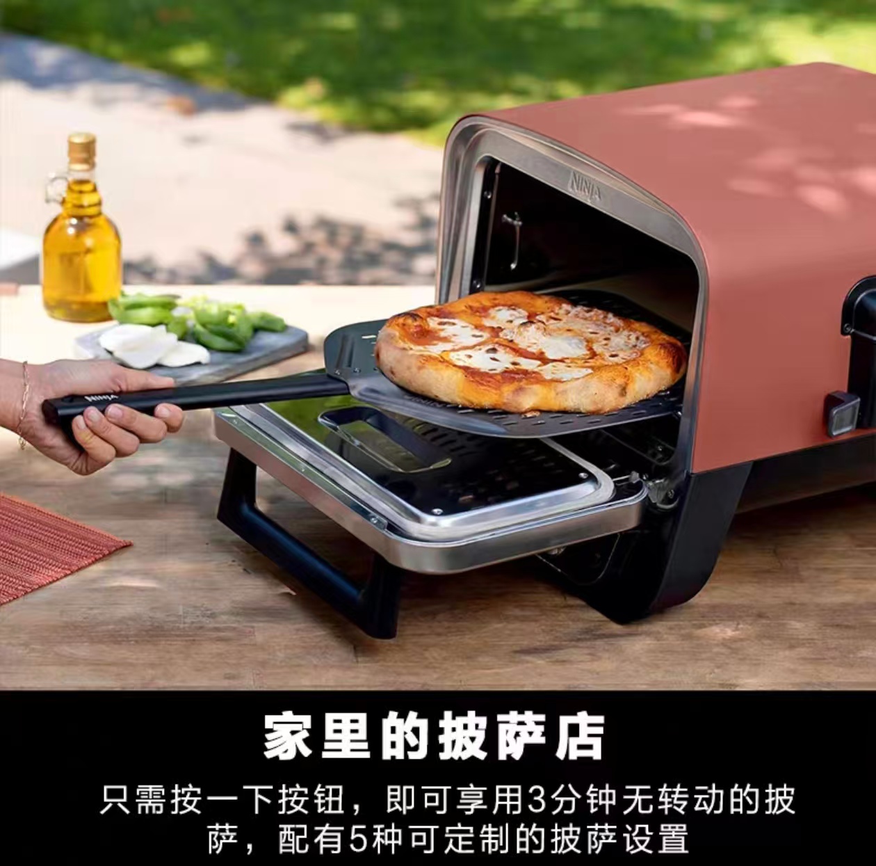 2026 Outdoor Pizza Oven for El - Camping Cooking Ovens ulasan dan harga